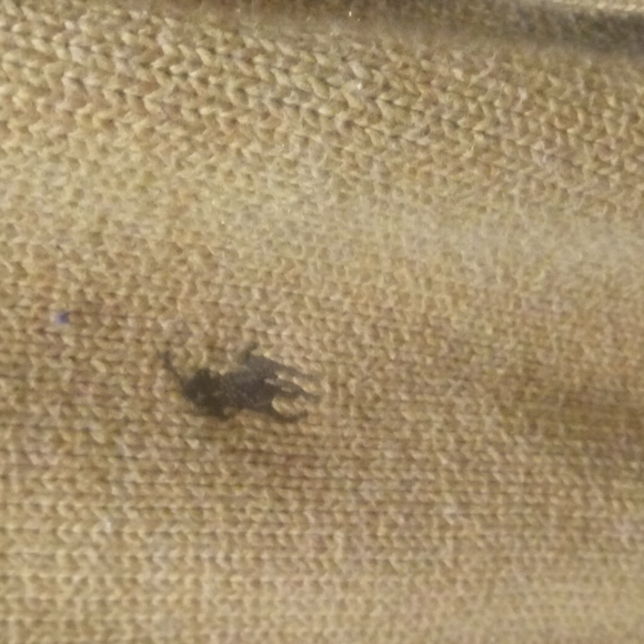 Polo Ralph Lauren quarter zip sweater - Picture 3 of 3